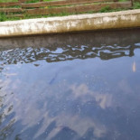 Sol E Mar Exterior