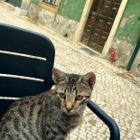 A Brasinha Bebida