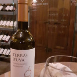 Taberna Chapeu Alto Boisson