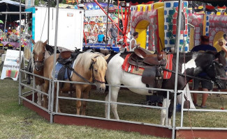 Restaurace Kd Jistebnice Exterior