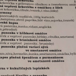 Sokolovna Průhonice