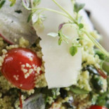 Spring Cafe Comida