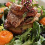 Spring Cafe Comida