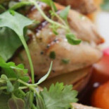 Spring Cafe Bebida