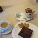 Tiny Cat Café Boisson