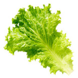 Objekt Bebida