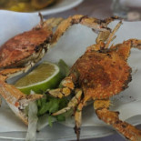 El Kastan Fish الكاستن