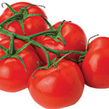 Maxima Bebida
