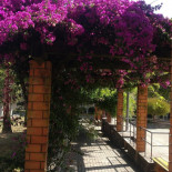 Café Da Praça Extérieur