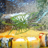 Sushi Yuma Nourriture