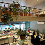 Kind Kitchen Dentro