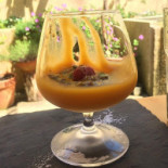 Gao Boisson
