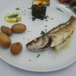 Do Molhe Nourriture