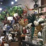 Terrárea Extérieur