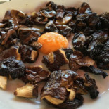 Pisca Nourriture