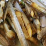 Aqui Há Peixe Nourriture