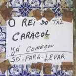 Estrela De Ouro Carte