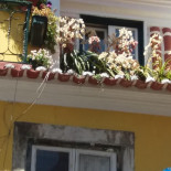 Casa Nostra Extérieur