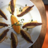 Sol e Pesca Comida