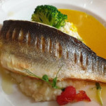 Flow Restaurant Bar Comida
