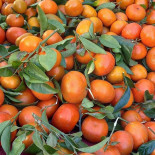 Flor Da Laranja-restaurantes Lda Boisson