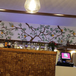 #treestory Dentro