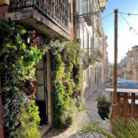 Boubou's Exterior