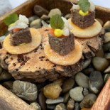 Grenache Essen