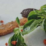 Taberna Moderna Boisson