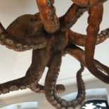 A Cevicheria Bebida