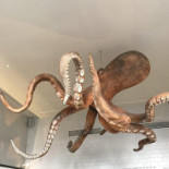 A Cevicheria Bebida
