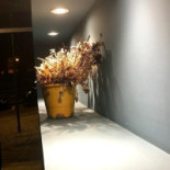 Espiga Galeria De Arte E Boisson