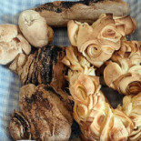 Abbitus Bebida