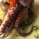 Stasha Comida