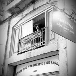 Taberna da Rua das Flores Boisson