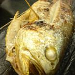 Veganapati Boisson