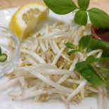 Pho-pu Bebida