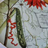 Zambeze Boisson