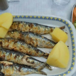 Aviz Comida