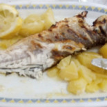 Aviz Cibo