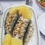Aviz Cibo