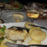 Novo Conceito Comida