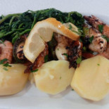 Novo Conceito Comida