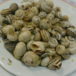 O Sinal Bebida