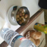 Bom Bom Boisson