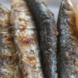 Santo André Comida
