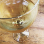 ChapitÔ À Mesa Boisson
