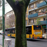 Horta Dos Brunos Extérieur