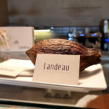 Landeau Carte