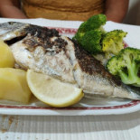 O Trem Comida
